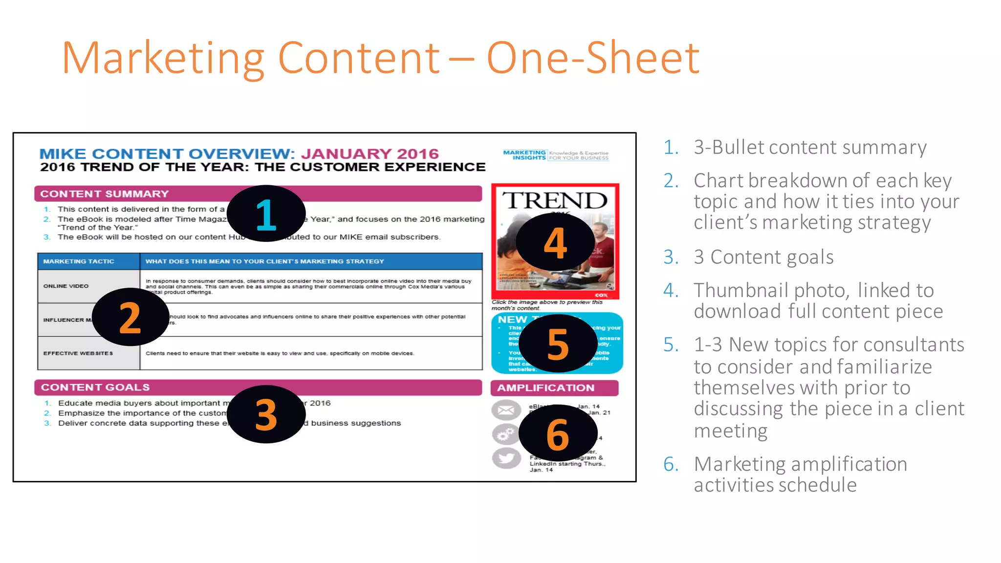 Marketing	Content	– One-Sheet
1. 3-Bullet	content	summary
2. Chart	breakdown	of	each	key	
topic	and	how	it	ties	into	your	
client’s	marketing	strategy
3. 3	Content	goals
4. Thumbnail	photo,	linked	to	
download	full	content	piece
5. 1-3	New	topics	for	consultants	
to	consider	and	familiarize	
themselves	with	prior	to	
discussing	the	piece	in	a	client	
meeting
6. Marketing	amplification	
activities	schedule
1
2
3
4
5
6
 