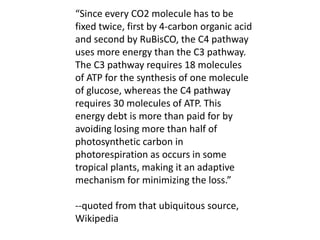 “Since every CO2 molecule has to be
fixed twice, first by 4-carbon organic acid
and second by RuBisCO, the C4 pathway
uses more energy than the C3 pathway.
The C3 pathway requires 18 molecules
of ATP for the synthesis of one molecule
of glucose, whereas the C4 pathway
requires 30 molecules of ATP. This
energy debt is more than paid for by
avoiding losing more than half of
photosynthetic carbon in
photorespiration as occurs in some
tropical plants, making it an adaptive
mechanism for minimizing the loss.”
--quoted from that ubiquitous source,
Wikipedia
 