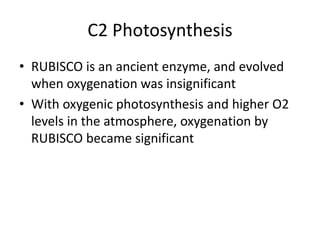 C2 Photosynthesis
• RUBISCO is an ancient enzyme, and evolved
when oxygenation was insignificant
• With oxygenic photosynthesis and higher O2
levels in the atmosphere, oxygenation by
RUBISCO became significant
 