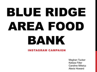 BLUE RIDGE
AREA FOOD
BANK
INSTAGRAM CAMPAIGN
Meghan Tucker
Kelsea Filter
Caroline Milwicz
Alexis Howard
 