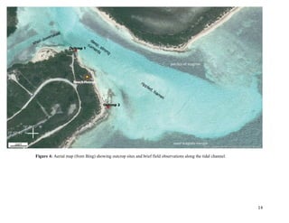   	
   	
   	
   	
   	
   	
   14	
  
Figure 4: Aerial map (from Bing) showing outcrop sites and brief field observations along the tidal channel.
200FT outer seagrass margin
patches of seagrass
Beach House
Outcrop 2
Outcrop 1
23º 57’ 42” N
74º 29’17” W
 