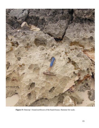   15	
  
	
  
!
Figure 5: Outcrop 1 found northwest of the beach house. Hammer for scale.
 