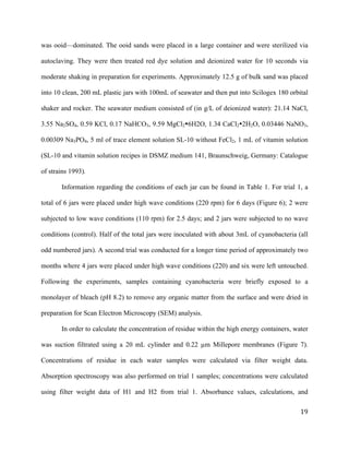   	
  
	
   	
  
	
   	
   	
  
19	
  
was ooid—dominated. The ooid sands were placed in a large container and were sterilized via
autoclaving. They were then treated red dye solution and deionized water for 10 seconds via
moderate shaking in preparation for experiments. Approximately 12.5 g of bulk sand was placed
into 10 clean, 200 mL plastic jars with 100mL of seawater and then put into Scilogex 180 orbital
shaker and rocker. The seawater medium consisted of (in g/L of deionized water): 21.14 NaCl,
3.55 Na2SO4, 0.59 KCl, 0.17 NaHCO3, 9.59 MgCl2Ÿ6H2O, 1.34 CaCl2Ÿ2H2O, 0.03446 NaNO3,
0.00309 Na3PO4, 5 ml of trace element solution SL-10 without FeCl2, 1 mL of vitamin solution
(SL-10 and vitamin solution recipes in DSMZ medium 141, Braunschweig, Germany: Catalogue
of strains 1993).
Information regarding the conditions of each jar can be found in Table 1. For trial 1, a
total of 6 jars were placed under high wave conditions (220 rpm) for 6 days (Figure 6); 2 were
subjected to low wave conditions (110 rpm) for 2.5 days; and 2 jars were subjected to no wave
conditions (control). Half of the total jars were inoculated with about 3mL of cyanobacteria (all
odd numbered jars). A second trial was conducted for a longer time period of approximately two
months where 4 jars were placed under high wave conditions (220) and six were left untouched.
Following the experiments, samples containing cyanobacteria were briefly exposed to a
monolayer of bleach (pH 8.2) to remove any organic matter from the surface and were dried in
preparation for Scan Electron Microscopy (SEM) analysis.
In order to calculate the concentration of residue within the high energy containers, water
was suction filtrated using a 20 mL cylinder and 0.22 µm Millepore membranes (Figure 7).
Concentrations of residue in each water samples were calculated via filter weight data.
Absorption spectroscopy was also performed on trial 1 samples; concentrations were calculated
using filter weight data of H1 and H2 from trial 1. Absorbance values, calculations, and
 