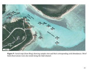   	
   	
   	
   	
   	
   	
   25	
  
S6
S7
S8
S9
S15
S11
S3
62.12%
Beach House
S5S10
S13R
S2
S12
S16R
S14
S1
46.81%
53.14%
51.50%61.59%
57.68%
64.94%
67.29%
63.19%
52.23%
70.63%
79.51%
78.67%
65.67%
78.09%
200FT
23º 57’ 42” N
74º 29’17” W
23º 57’ 42” N
74º 29’17” W
Figure 9: Aerial map (from Bing) showing sample sites and their corresponding ooid abundances. Brief
field observations were also noted along the tidal channel.
 