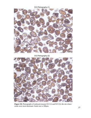   	
  
	
   	
  
	
   	
   	
  
27	
  
Figure 10: Photographs of sediment mounts S12 (1) and S12 (2), the site where
ooids were most dominant. Scale size is 200µm.
S12 Petrography (1)
S12 Petrography (2)
 