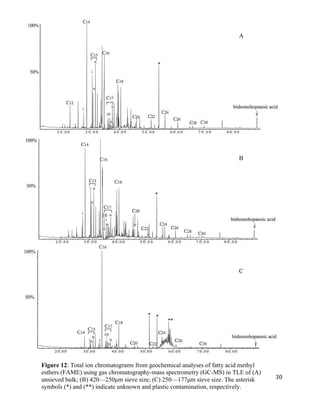   	
  
	
   	
  
	
   	
   	
  
30	
  
+
Figure 12: Total ion chromatograms from geochemical analyses of fatty acid methyl
esthers (FAME) using gas chromatography-mass spectrometry (GC-MS) in TLE of (A)
unsieved bulk; (B) 420—250µm sieve size; (C) 250—177µm sieve size. The asterisk
symbols (*) and (**) indicate unknown and plastic contamination, respectively. 	
  
A
B
C
 