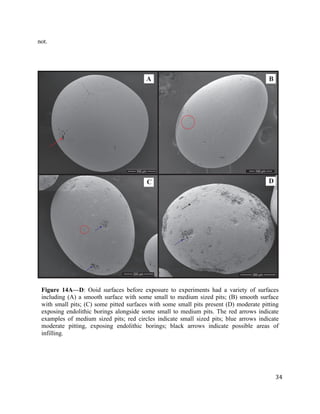   	
  
	
   	
  
	
   	
   	
  
34	
  
not.
	
  
Figure 14A—D: Ooid surfaces before exposure to experiments had a variety of surfaces
including (A) a smooth surface with some small to medium sized pits; (B) smooth surface
with small pits; (C) some pitted surfaces with some small pits present (D) moderate pitting
exposing endolithic borings alongside some small to medium pits. The red arrows indicate
examples of medium sized pits; red circles indicate small sized pits; blue arrows indicate
moderate pitting, exposing endolithic borings; black arrows indicate possible areas of
infilling.	
  
D
A B
C
 