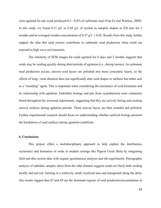   	
  
	
   	
  
	
   	
   	
  
43	
  
were agitated for one week produced 0.3—0.4% of carbonate mud (Van Ee and Wanless, 2008).
In this study, we found 0.21 g/L to 0.69 g/L of residue in samples shaken at 220 rpm for 2
months and an averaged residue concentration of 0.37 g/L ± 0.02. Results from this study further
support the idea that ooid erosion contributes to carbonate mud production when ooids are
exposed to high wave environments.
The similarity of SEM images for ooids agitated for 6 days and 2 months suggests that
ooids may be eroding quickly during short periods of agitation (i.e., during storms). As carbonate
mud production occurs, uneven ooid layers are polished into more concentric layers, so the
effects of long—term abrasion does not significantly alter ooid shapes or surfaces but rather acts
as a “rounding” agent. This is important when considering the mechanics of ooid formation and
its relationship with agitation. Endolithic borings and pits from cyanobacteria were commonly
found throughout the erosional experiments, suggesting that they are actively boring and creating
uneven surfaces during agitation periods. These uneven layers are then rounded and polished.
Further experimental research should focus on understanding whether surficial borings promote
the breakdown of ooid surfaces during agitation conditions.
6. Conclusions
This project offers a multidisciplinary approach to help explain the distribution,
occurrence and formation of ooids in modern settings like Pigeon Creek Delta by integrating
field and thin section data with organic geochemical analyses and lab experiments. Petrographic
analysis of subtidals samples taken from the tidal channel suggests ooids are likely both eroding
locally and actively forming in a relatively small, localized area and transported along the delta.
Our results suggest that S7 and S8 are the dominant regions of ooid production/accumulation in
 