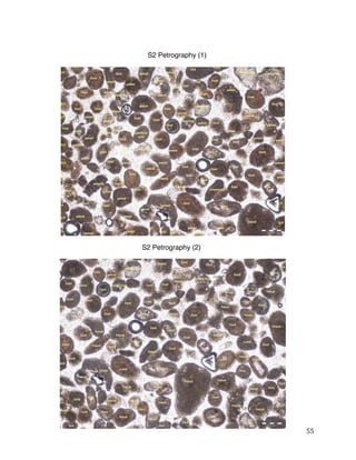 55
S2 Petrography (1)
S2 Petrography (2)
 