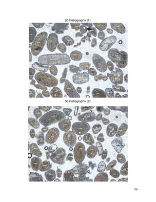 56
S3 Petrography (2)
S3 Petrography (1)
 