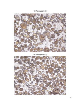 58
S6 Petrography (2)
S6 Petrography (1)
 