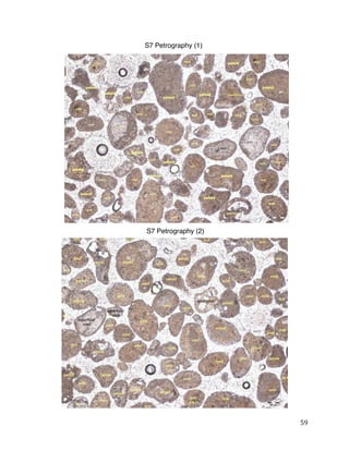 59
S7 Petrography (2)
S7 Petrography (1)
 