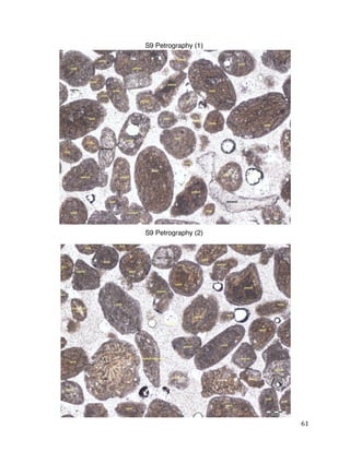 61
S9 Petrography (2)
S9 Petrography (1)
 