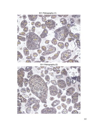 63
S11 Petrography (1)
S11 Petrography (2)
 