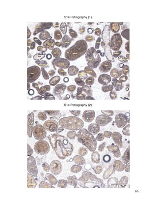 66
S14 Petrography (1)
S14 Petrography (2)
 