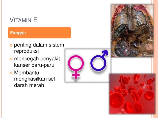 Fungsi Dan Sumber vitamin