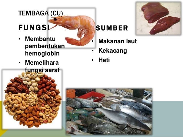 Fungsi & sumber mineral & air