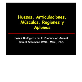 Huesos, Articulaciones,
Músculos, Regiones y
Aplomos
Bases Biológicas de la Producción Animal
Daniel Salamone DVM, MSci, PhD
 
