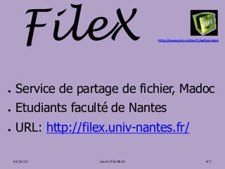FileX                          http://www.univ-nantes.fr/webservices




●    Service de partage de fichier, Madoc
●    Etudiants faculté de Nantes
●    URL: http://filex.univ-nantes.fr/

    03/12/12        Laurie FIGUREAU                                N°1
 