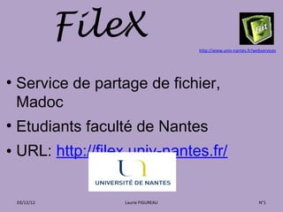 FileX                   http://www.univ-nantes.fr/webservices




●
    Service de partage de fichier,
    Madoc
●
    Etudiants faculté de Nantes
●   URL: http://filex.univ-nantes.fr/


    03/12/12         Laurie FIGUREAU                               N°1
 