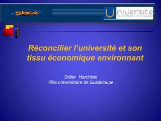 Réconcilier l’université et son
tissu économique environnant
Didier Marchisio
Pôle universitaire de Guadeloupe
 