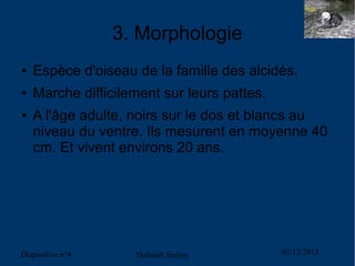 3. Morphologie
●

Espèce d'oiseau de la famille des alcidés.

●

Marche difficilement sur leurs pattes.

●

A l'âge adulte, noirs sur le dos et blancs au
niveau du ventre. Ils mesurent en moyenne 40
cm. Et vivent environs 20 ans.

Diapositive n°4

Thébault Jérémy

03/12/2013

 