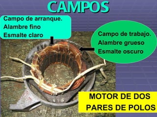 CAMPOS Campo de arranque. Alambre fino Esmalte claro MOTOR DE DOS  PARES DE POLOS Campo de trabajo. Alambre grueso Esmalte oscuro 