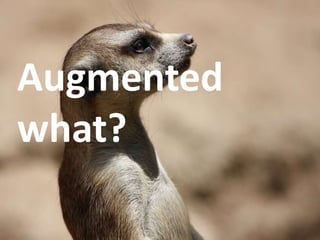 Augmentedwhat?