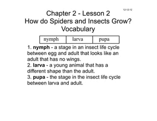 12-12-12

      Chapter 2 - Lesson 2
How do Spiders and Insects Grow?
          Vocabulary
       nymph         larva       pupa
1. nymph - a stage in an insect life cycle
between egg and adult that looks like an
adult that has no wings.
2. larva - a young animal that has a
different shape than the adult.
3. pupa - the stage in the insect life cycle
between larva and adult.
 