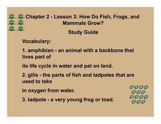 Chapter 2 - Lesson 3: How Do Fish, Frogs, and
                Mammals Grow?
                    Study Guide
Vocabulary:
1. amphibian - an animal with a backbone that
lives part of
its life cycle in water and pat on land.
2. gills - the parts of fish and tadpoles that are
used to take
in oxygen from water.
3. tadpole - a very young frog or toad.
 