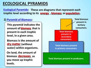 C2T2 Microorganisms and decay.pptx
