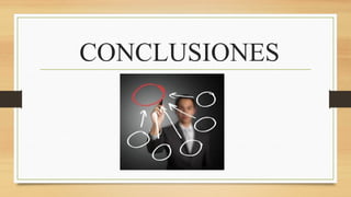 CONCLUSIONES
 