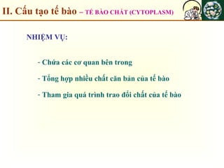 II. Cấu tạo tế bào – TẾ BÀO CHẤT (CYTOPLASM)
NHIỆM VỤ:
- Chứa các cơ quan bên trong
- Tổng hợp nhiều chất căn bản của tế bào
- Tham gia quá trình trao đổi chất của tế bào
 