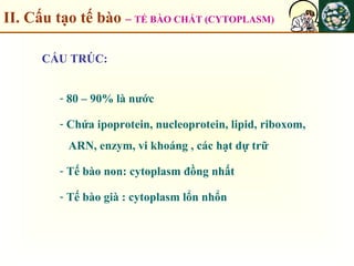 II. Cấu tạo tế bào – TẾ BÀO CHẤT (CYTOPLASM)
CẤU TRÚC:
- 80 – 90% là nước
- Chứa ipoprotein, nucleoprotein, lipid, riboxom,
ARN, enzym, vi khoáng , các hạt dự trữ
- Tế bào non: cytoplasm đồng nhất
- Tế bào già : cytoplasm lổn nhổn
 