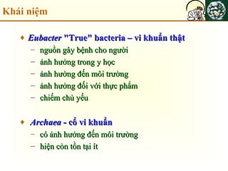 Khái niệm
♦ EubacterEubacter "True" bacteria – vi khuẩn thật"True" bacteria – vi khuẩn thật
– nguồn gây bệnh cho ngườinguồn gây bệnh cho người
– ảnh hưởng trong y họcảnh hưởng trong y học
– ảnh hưởng đến môi trườngảnh hưởng đến môi trường
– ảnh hưởng đối với thực phẩmảnh hưởng đối với thực phẩm
– chiếm chủ yếuchiếm chủ yếu
♦ ArchaeaArchaea - cổ vi khuẩn- cổ vi khuẩn
– có ảnh hưởng đến môi trườngcó ảnh hưởng đến môi trường
– hiện còn tồn tại íthiện còn tồn tại ít
 