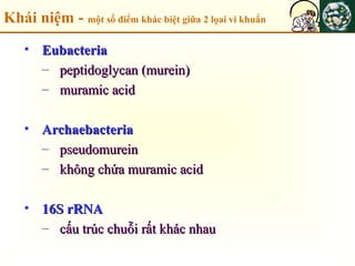 Khái niệm - một số điểm khác biệt giữa 2 lọai vi khuẩn
• EubacteriaEubacteria
– peptidoglycan (murein)peptidoglycan (murein)
– muramic acidmuramic acid
• ArchaebacteriaArchaebacteria
– pseudomureinpseudomurein
– không chứa muramic acidkhông chứa muramic acid
• 16S rRNA16S rRNA
– cấu trúc chuỗi rất khác nhaucấu trúc chuỗi rất khác nhau
 