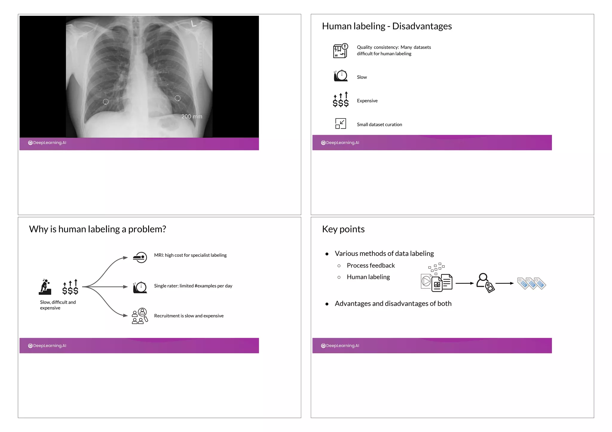 Human labeling - Disadvantages
Quality consistency: Many datasets
difﬁcult for human labeling
Slow
Expensive
Small dataset curation
Why is human labeling a problem?
Slow, difﬁcult and
expensive
MRI: high cost for specialist labeling
Single rater: limited #examples per day
Recruitment is slow and expensive
● Various methods of data labeling
○ Process feedback
○ Human labeling
● Advantages and disadvantages of both
Key points
 