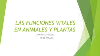LAS FUNCIONES VITALES
EN ANIMALES Y PLANTAS
LIDIA MATEO VÁZQUEZ
4ºB DE PRIMARIA
 