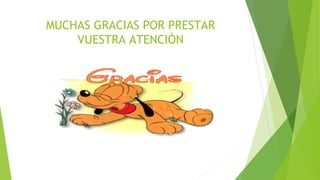 MUCHAS GRACIAS POR PRESTAR
VUESTRA ATENCIÓN
 