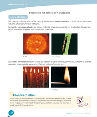 Módulo 1 / Fuentes de luz

Fuentes de luz naturales y artificiales
Lee y observa
Los cuerpos luminosos son fuentes de luz y son llamados fuentes luminosas. Existen fuentes luminosas
naturales y fuentes luminosas artificiales.
Las fuentes luminosas naturales son las que emiten luz propia y se encuentran en la naturaleza. Por ejemplo,
el Sol, las estrellas y algunos insectos como las luciérnagas.

Sol

Luciérnaga

Las fuentes luminosas artificiales son las que fabrican los seres humanos y emiten luz. Por ejemplo, cuando
enciendes una ampolleta, una vela, un fósforo o los tubos fluorescentes.

Vela

Fósforo

Educando en valores
Los LED, usados en linternas, televisores y controles remotos, son fuentes luminosas artificiales. Estos son
más eficientes que las ampolletas y, además, su uso permite cuidar el medioambiente, porque consumen
menos energía y duran más tiempo. Prefiere las lámparas y artefactos que utilicen esta tecnología, así
estarás respetando el medioambiente.

124

Unidad 4 / Ciencias Físicas y Químicas

 