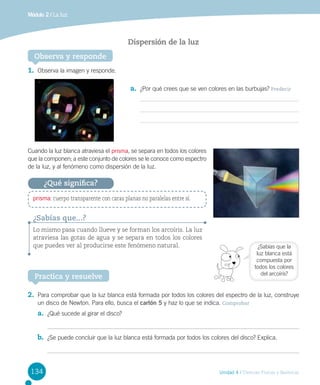 Módulo 2 / La luz

Dispersión de la luz
Observa y responde
1.	 Observa la imagen y responde.
a.	 ¿Por qué crees que se ven colores en las burbujas? Predecir

Cuando la luz blanca atraviesa el prisma, se separa en todos los colores
que la componen; a este conjunto de colores se le conoce como espectro
de la luz, y al fenómeno como dispersión de la luz.

¿Qué significa?
prisma: cuerpo transparente con caras planas no paralelas entre sí.

¿Sabías que...?
Lo mismo pasa cuando llueve y se forman los arcoíris. La luz
atraviesa las gotas de agua y se separa en todos los colores
que puedes ver al producirse este fenómeno natural.

¿Sabías que la
luz blanca está
compuesta por
todos los colores
del arcoíris?

Practica y resuelve

2.	 Para comprobar que la luz blanca está formada por todos los colores del espectro de la luz, construye
un disco de Newton. Para ello, busca el cartón 5 y haz lo que se indica. Comprobar

a.	 ¿Qué sucede al girar el disco?
b.	 ¿Se puede concluir que la luz blanca está formada por todos los colores del disco? Explica.

134

Unidad 4 / Ciencias Físicas y Químicas

 