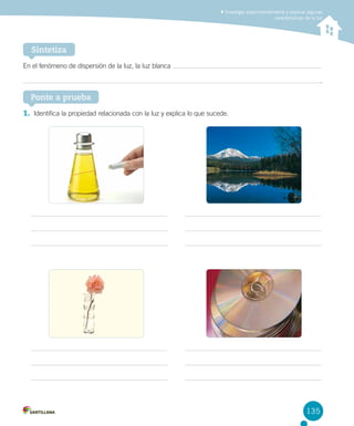 Investigar experimentalmente y explicar algunas
características de la luz

Sintetiza
En el fenómeno de dispersión de la luz, la luz blanca
.

Ponte a prueba
1.	 Identifica la propiedad relacionada con la luz y explica lo que sucede.

135

 