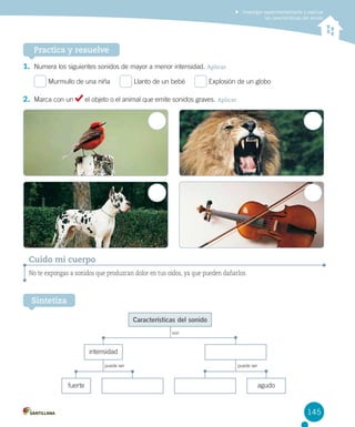 Investigar experimentalmente y explicar
las características del sonido

Practica y resuelve
1.	 Numera los siguientes sonidos de mayor a menor intensidad. Aplicar
Murmullo de una niña     

2.	 Marca con un

Llanto de un bebé     

Explosión de un globo

el objeto o el animal que emite sonidos graves. Aplicar

Cuido mi cuerpo
No te expongas a sonidos que produzcan dolor en tus oídos, ya que pueden dañarlos.

Sintetiza
Características del sonido
son

intensidad
puede ser

fuerte

puede ser

agudo

145

 