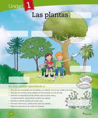 Unidad

1
Las plantas

En esta unidad aprenderás a:
• Describir las necesidades de las plantas y su relación con la raíz, el tallo y las hojas.
• Describir los cambios de las plantas con flor durante su ciclo de vida.
• Describir la importancia de las plantas para los seres vivos y
el medioambiente, proponiendo medidas de cuidado.
• Identificar distintas plantas de nuestro país.
• Formular inferencias y predicciones sobre las plantas.
• Valorar la importancia de cuidar los bosques.

14

 