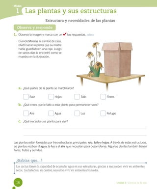 Módulo

1 Las plantas y sus estructuras
Estructura y necesidades de las plantas
Observa y responde

1.	 Observa la imagen y marca con un

tus respuestas. Inferir

Cuando Mariana se cambió de casa,
olvidó sacar la planta que su madre
había guardado en una caja. Luego
de varios días la encontró como se
muestra en la ilustración.

a.	 ¿Qué partes de la planta se marchitaron?
Raíz	

	

Hojas	

	

Tallo	

	

Flores

b.	 ¿Qué crees que le faltó a esta planta para permanecer sana?
Aire	

	

Agua	

	

Luz 	

	

Refugio

c.	 ¿Qué necesita una planta para vivir?

Las plantas están formadas por tres estructuras principales: raíz, tallo y hojas. A través de estas estructuras,
las plantas reciben el agua, la luz y el aire que necesitan para desarrollarse. Algunas plantas también tienen
flores, frutos y semillas.

¿Sabías que...?
Los cactus tienen la capacidad de acumular agua en sus estructuras, gracias a eso pueden vivir en ambientes
secos. Los helechos, en cambio, necesitan vivir en ambientes húmedos.

16

Unidad 1 / Ciencias de la vida

 