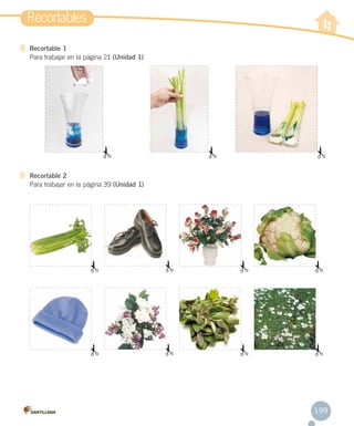 Recortables
Recortable 1
Para trabajar en la página 21 (Unidad 1)

Recortable 2
Para trabajar en la página 39 (Unidad 1)

199

 