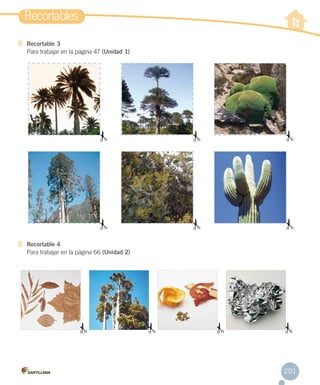 Recortables
Recortable 3
Para trabajar en la página 47 (Unidad 1)

Recortable 4
Para trabajar en la página 66 (Unidad 2)

201

 