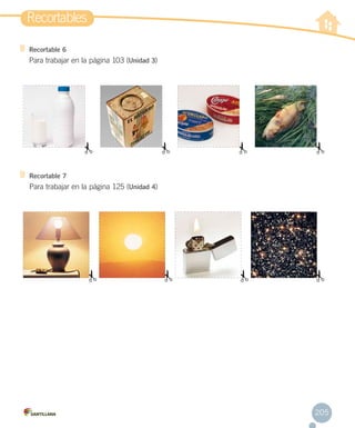 Recortables
Recortable 6

Para trabajar en la página 103 (Unidad 3)

Recortable 7

Para trabajar en la página 125 (Unidad 4)

205

 
