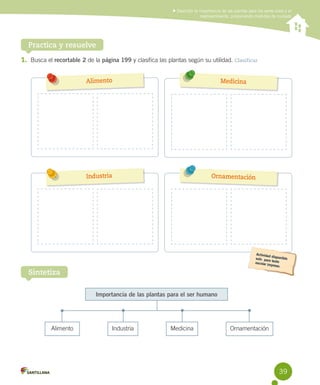 Describir la importancia de las plantas para los seres vivos y el
medioambiente, proponiendo medidas de cuidado

Practica y resuelve
1. Busca el recortable 2 de la página 199 y clasifica las plantas según su utilidad. Clasificar
Alimento

Medicina

Industria

Ornamentación

Sintetiza
Importancia de las plantas para el ser humano

Alimento

Industria

Medicina

Ornamentación

39

 