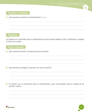 Describir la importancia de las plantas para los seres vivos y el
medioambiente, proponiendo medidas de cuidado

Practica y resuelve
1.	 ¿Qué aportan las plantas al medioambiente? Explicar

Sintetiza
Las plantas son importantes para el medioambiente porque aportan oxígeno al aire y contribuyen a proteger
el suelo de la erosión.

Ponte a prueba
1.	 ¿Qué importancia tienen las plantas para los animales?

2.	 ¿Qué beneficios entregan las plantas a los seres humanos?

3.	 En relación con su importancia para el medioambiente, ¿qué recomendarías para el cuidado de las
plantas? Justifica.

41

 